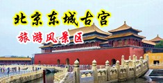 跳弹白丝喷浆高潮中国北京-东城古宫旅游风景区